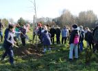 Plantations avec les enfants de l'cole primaire-7195d9