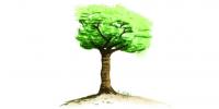 Retour en images -  plantation d'arbres symboliques
