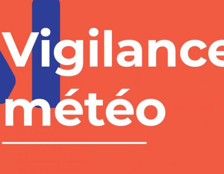 Information CANICULE - BONS REFLEXES