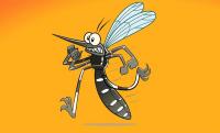 Information Moustique Tigre