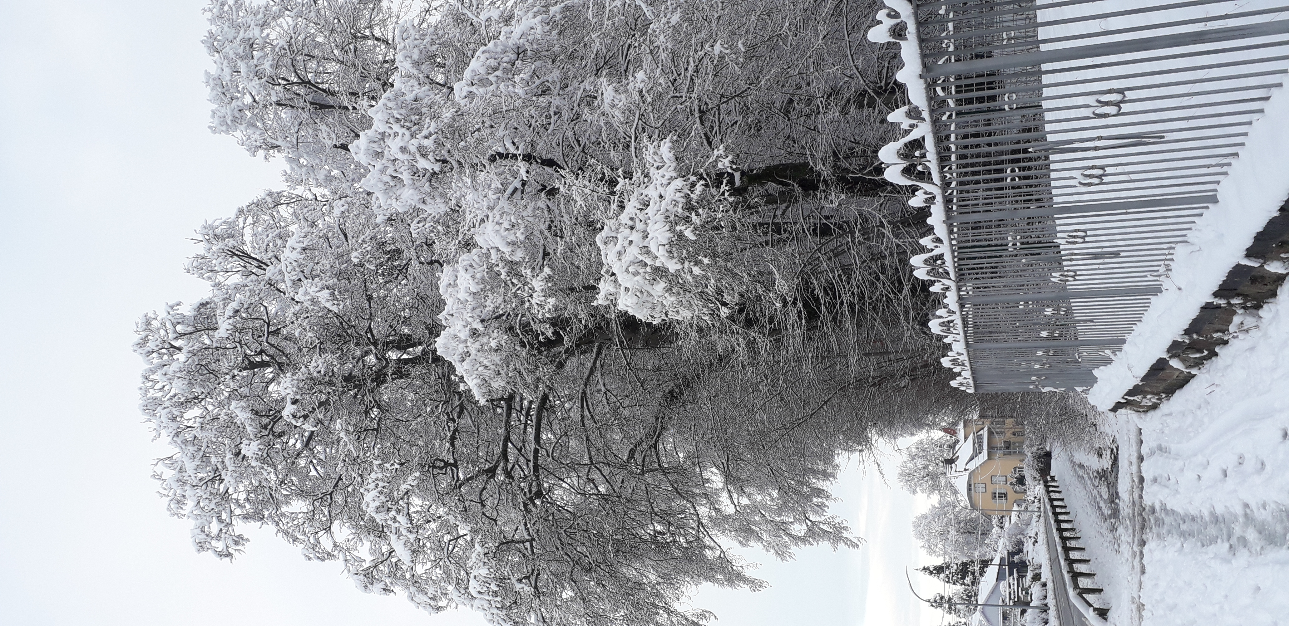 Carspach sous la neige - Photo Véronique LIDIN