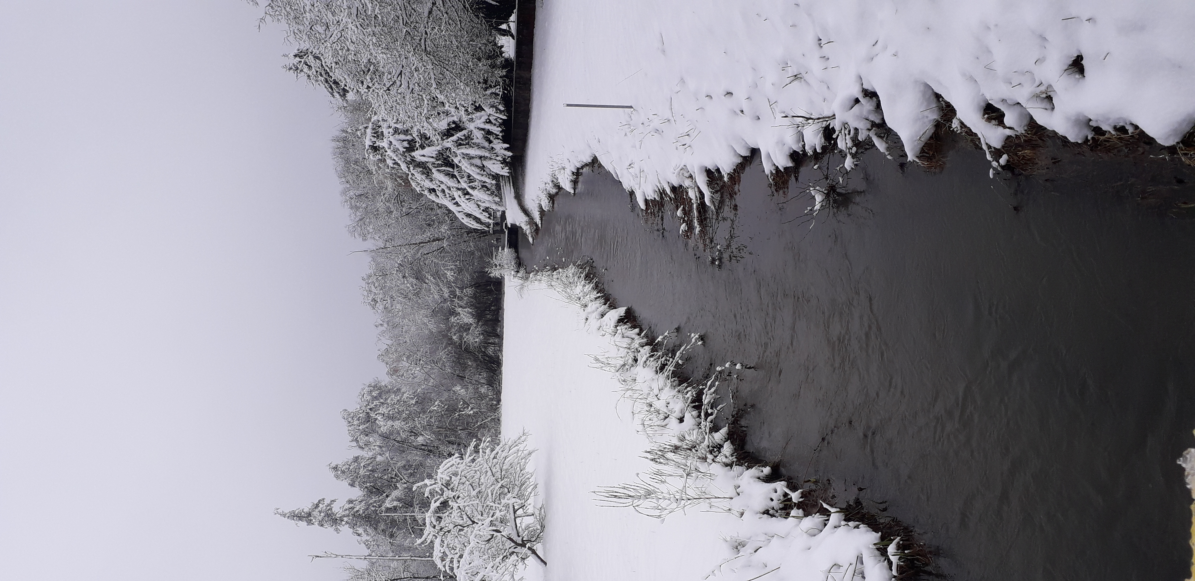 Carspach sous la neige - Photo Vronique LIDIN