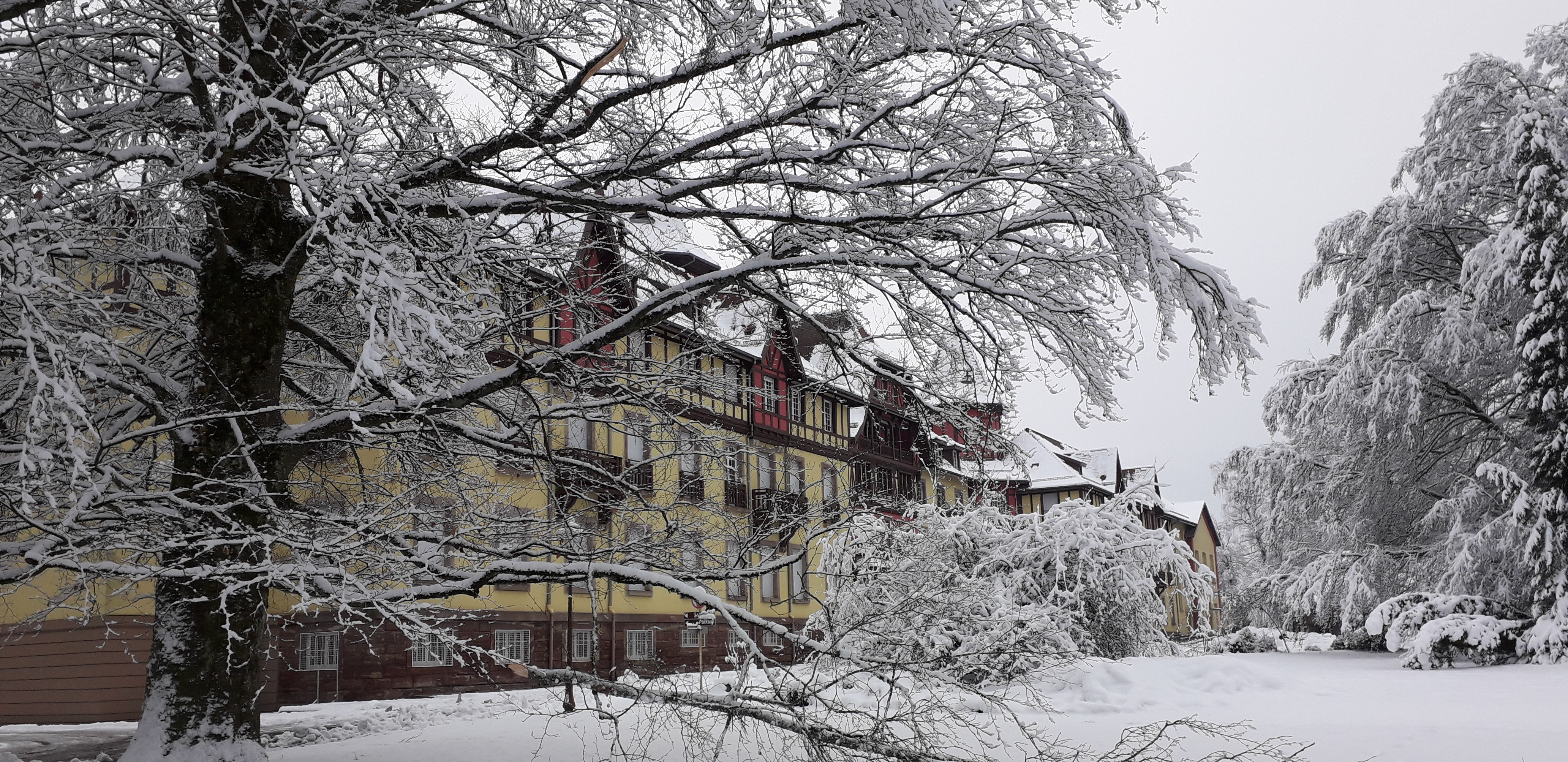 Sonnenberg sous la neige - Photo Vronique LIDIN